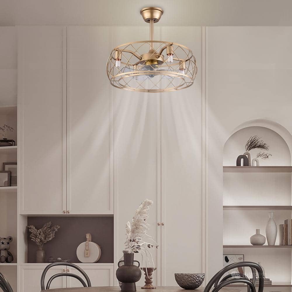 20" Gold Aluminum Caged Ceiling Fan with LED Light and Remote