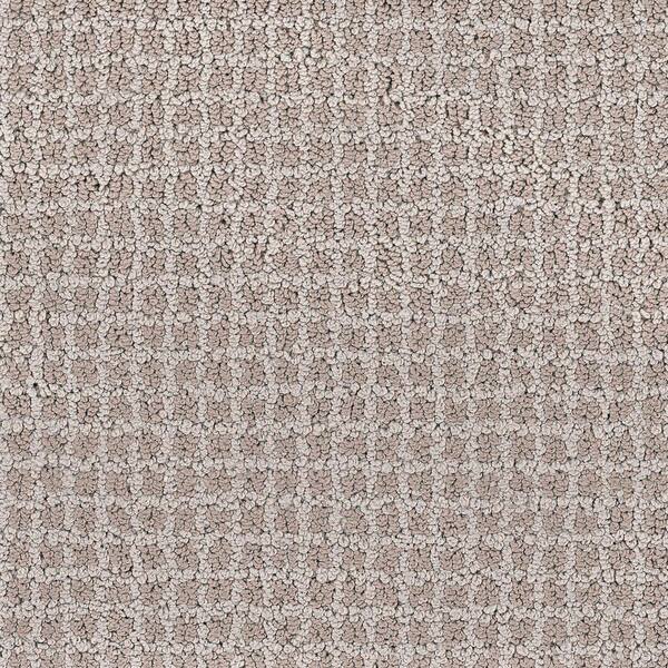 Lifeproof Carpet Sample - Persevere - Color Sadler Loop 8 in. x 8 in.