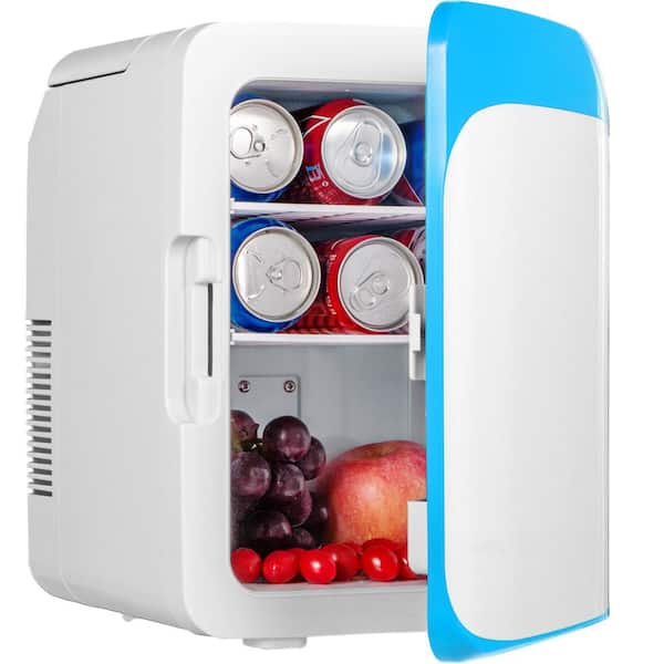Mini Fridge with Freezer 10L Beauty Fridge Portable Mini Fridge, AC/DC  Thermoelectric Cooler and Warmer for Skincare, Bedroom and Travel (Mirror &  LED