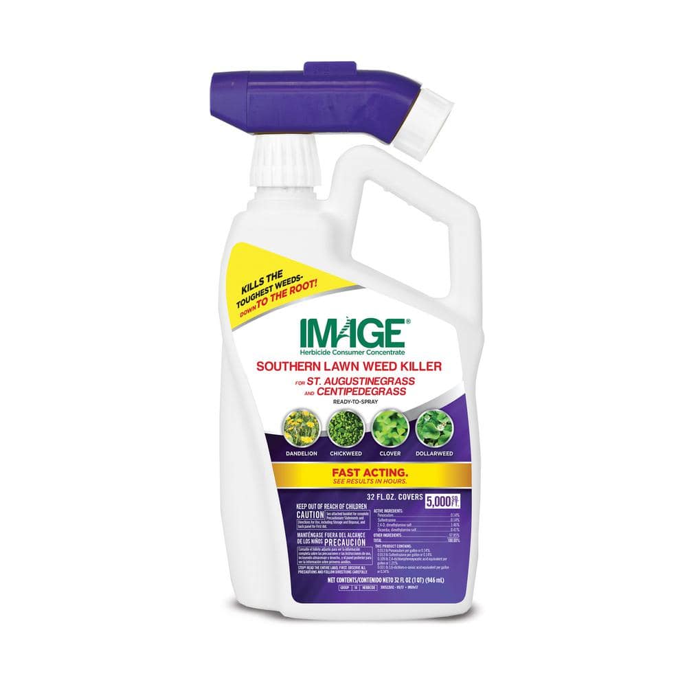 UPC 813576004255 product image for 32 oz. 5,000 sq. ft. Southern Lawn Weed Killer Ready-To-Spray for St. Augustineg | upcitemdb.com