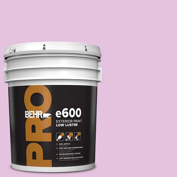 BEHR PRO 5 gal. #P110-2 Girl Talk Low Luster Exterior Paint