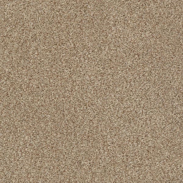 Lifeproof Karma I - Wood Spice - Brown 41.2 oz. Nylon Texture Installed Carpet