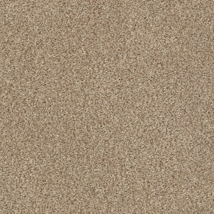 Karma II - Wood Spice - Brown 50.5 oz. Nylon Texture Installed Carpet