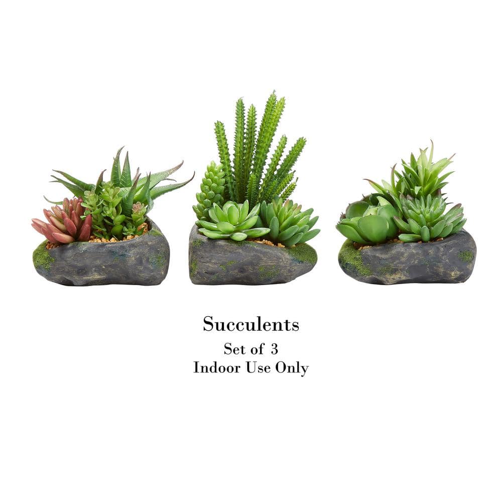 Set of 3 Artificial Succulent Plants in Faux Stone Pots
