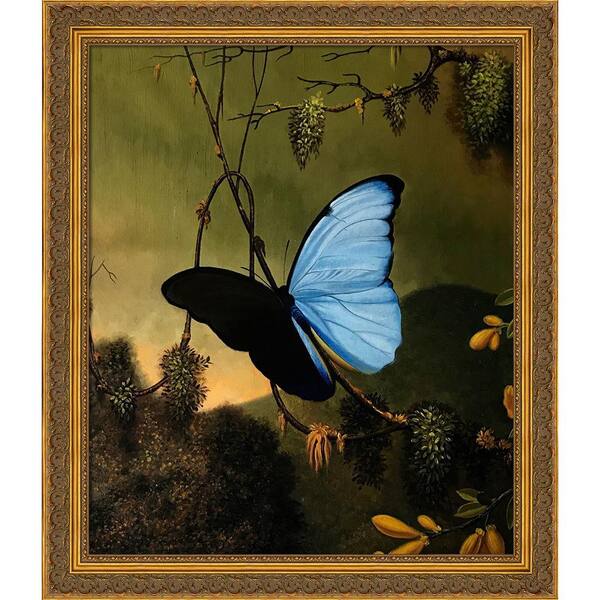 LA PASTICHE Blue Morpho Butterfly with Baroque Antique Gold Frame by Martin Johnson Heade Framed Wall Art 24 in. x 28 in.