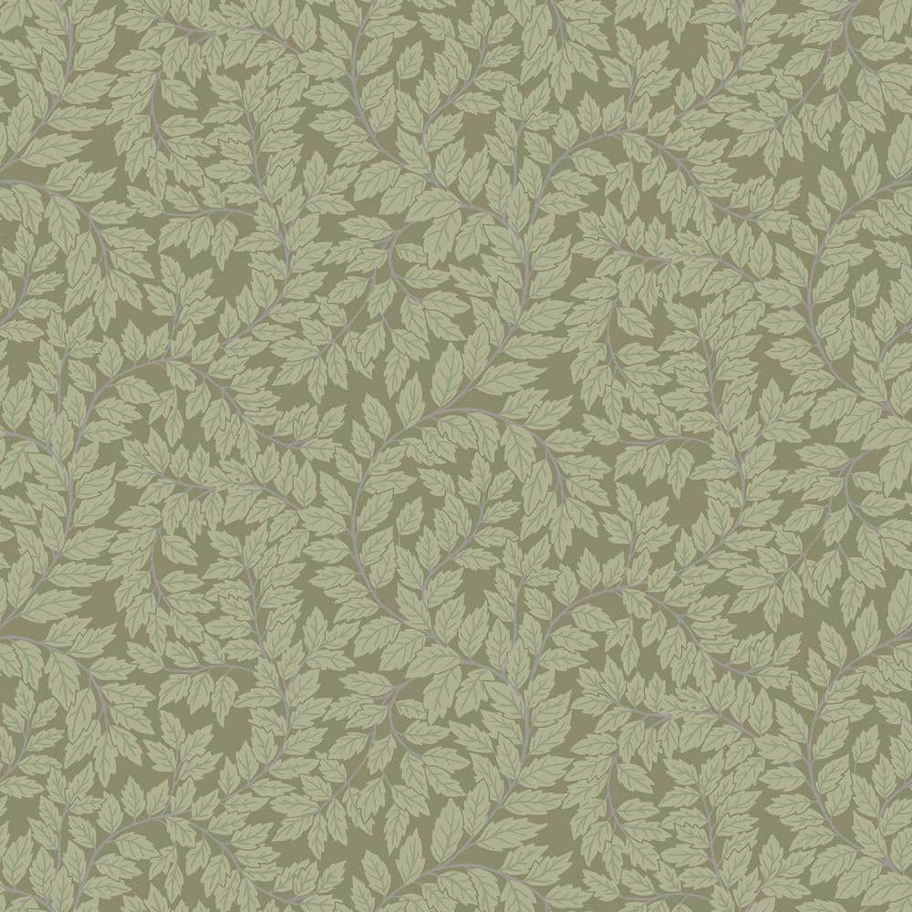 Lindlöv Green Leafy Vines Wallpaper Sample price history on PriceWatchPro