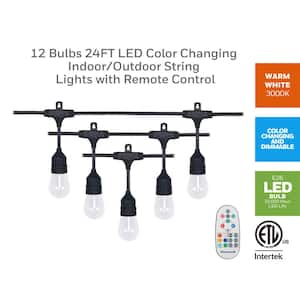 12-Light 24 ft. Indoor/Outdoor Plug-In A-Shape Bulb LED String Light
