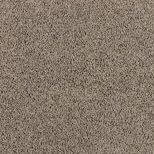 Radiant Retreat III Stormy Gray 73 oz. Polyester Textured Installed Carpet