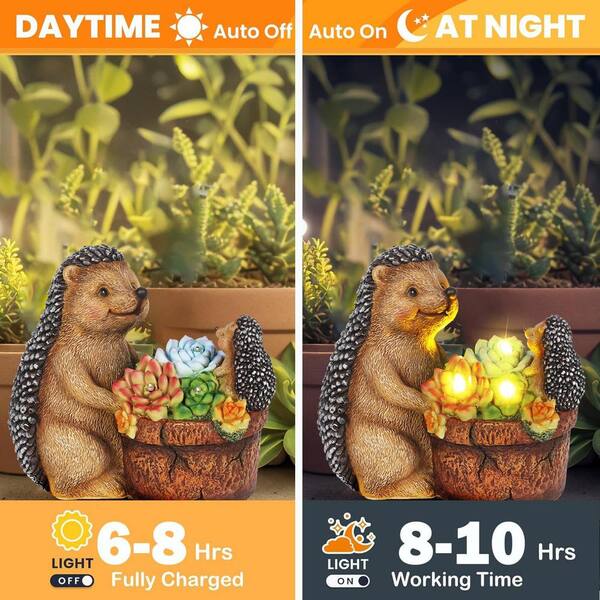 Phewnyzo 8.7 in. x 7.4 in. x 4.5 in. Succulent Hedgehog Garden