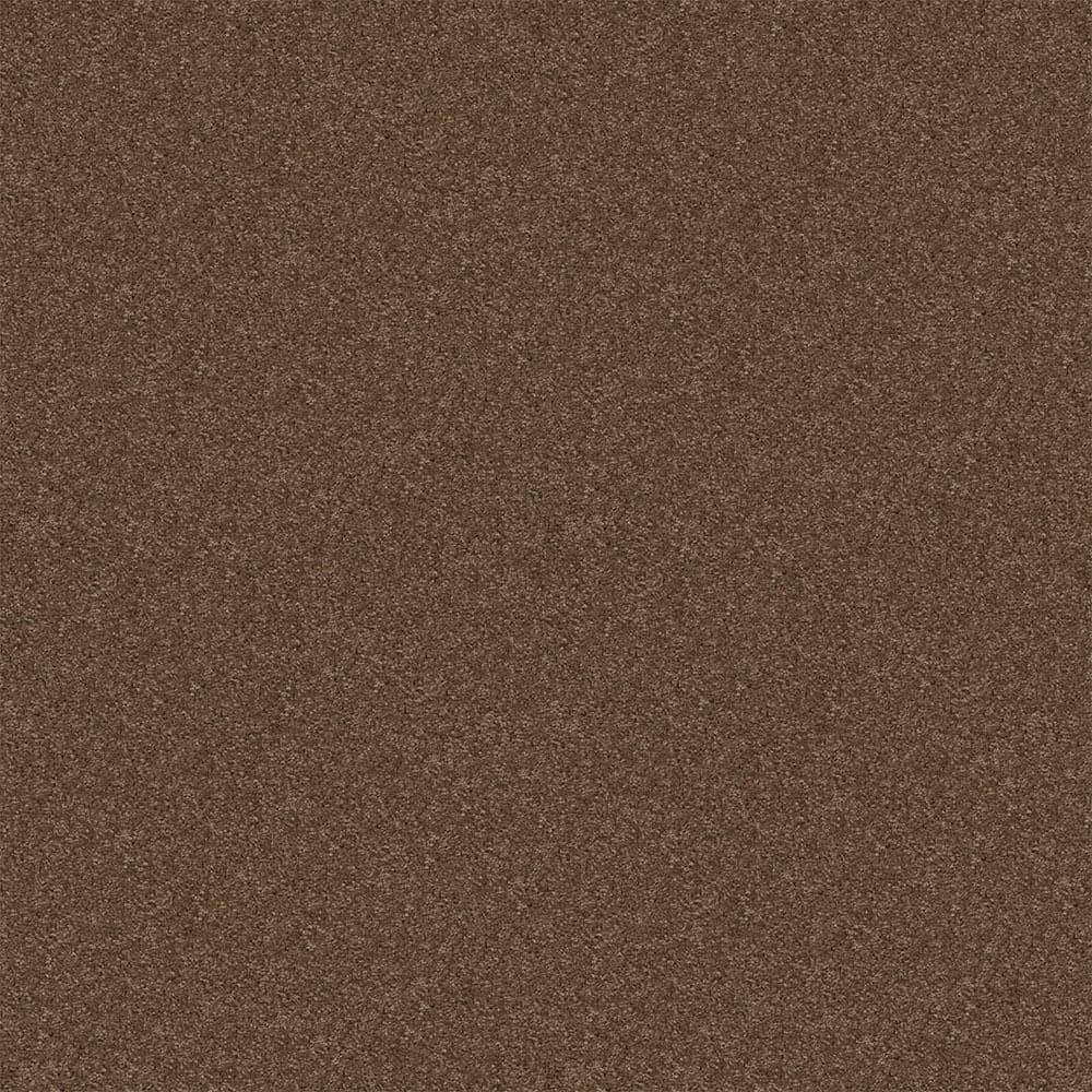 TrafficMaster Alpine - Adventure - Brown 17.3 oz. Polyester Texture ...