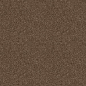 Alpine - Adventure - Brown 17.3 oz. Polyester Texture Installed Carpet