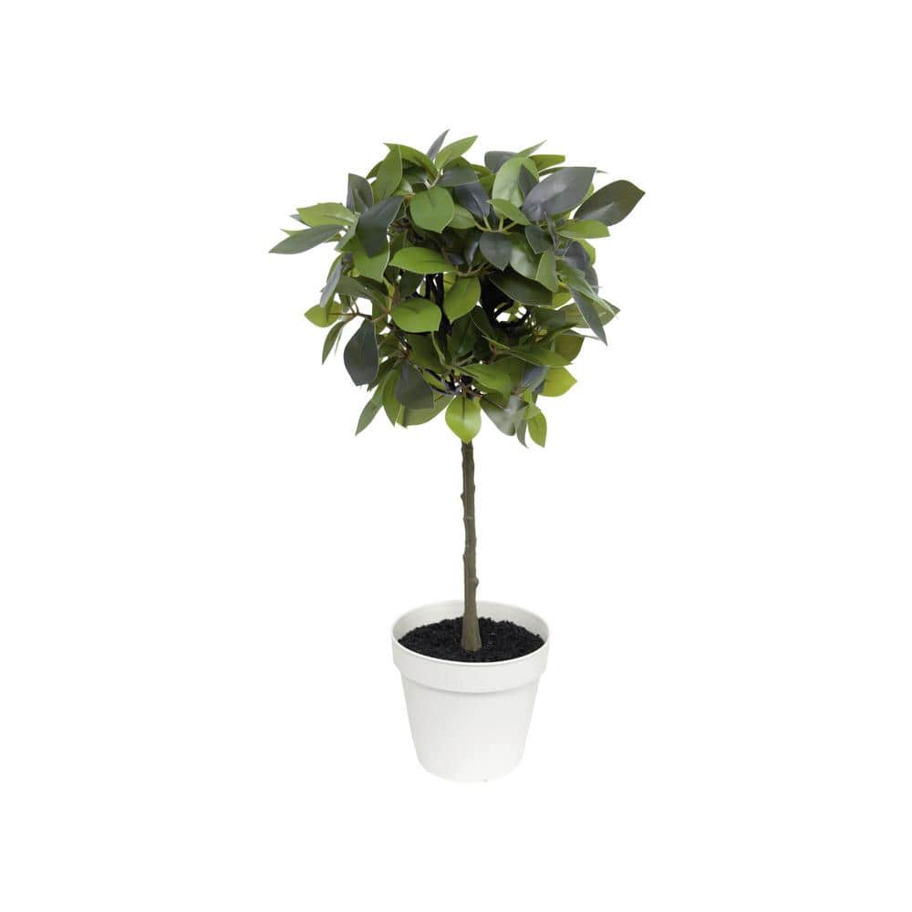 18" Silk Weeping Ficus in White Plastic Pot