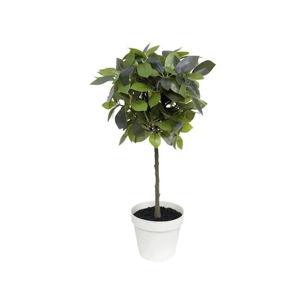 Algreen PRODUCTS 18 in. Artificial Weeping Ficus (4.6 in. x 3.9 in. H pot; 17 in. x 18 in. H)