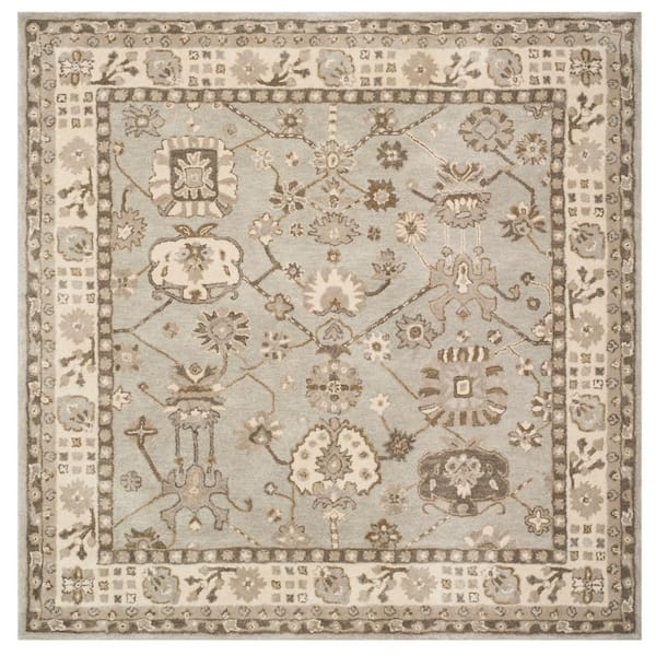 SAFAVIEH Royalty Silver/Cream 7 ft. x 7 ft. Square Border Area Rug