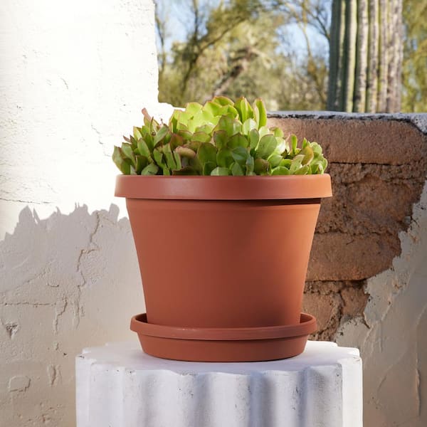 Large Terra Cotta Pots with Saucer- 4 Pack Large 6'' Terra Cotta Plant Pot  with Drainage Hole, Flower Pot with Tray, Terracotta Pot for Indoor Outdoor