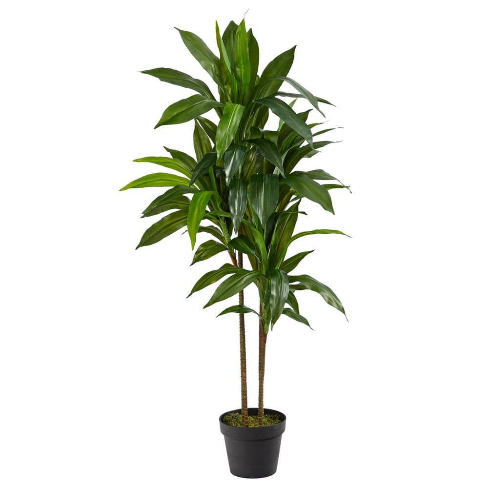 花台　自然木　約75cm✕約35cm✕約11cm Nearly Natural Real Touch 48 in. Artificial H Green Dracaena Silk