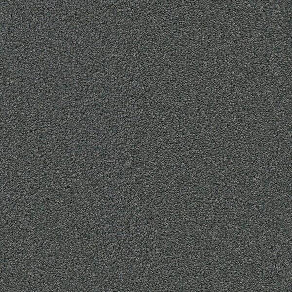 Lifeproof Carpet Sample - Harvest III - Color Spyrock Texture 8 in. x 8 in.