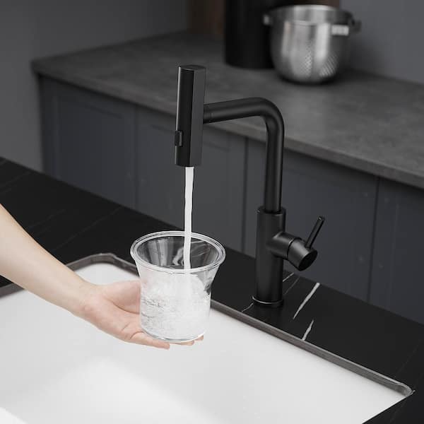 Tahanbath Single Handle Pull Out Kitchen Faucet in matte black