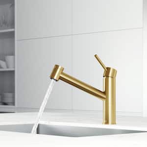 Branson 9 in. H Single Handle Pull-Out Sprayer Kitchen Faucet in Matte Brushed Gold