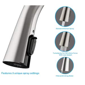 Eagleton Single-Handle Pull-Down Sprayer Kitchen Faucet with Water Filter in Stainless Steel