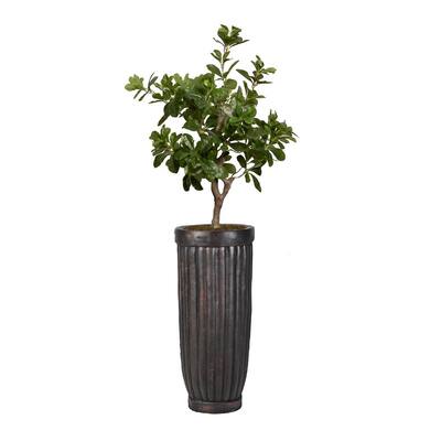 30 in. High Artificial Tung Tree with Fiberstone Planter