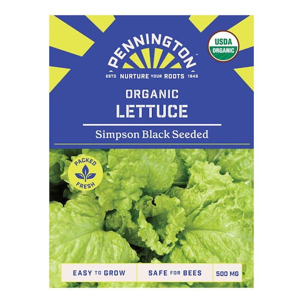 Pennington Organic Lettuce Simpson Black Seeded Vegetable Seed 0815 ...