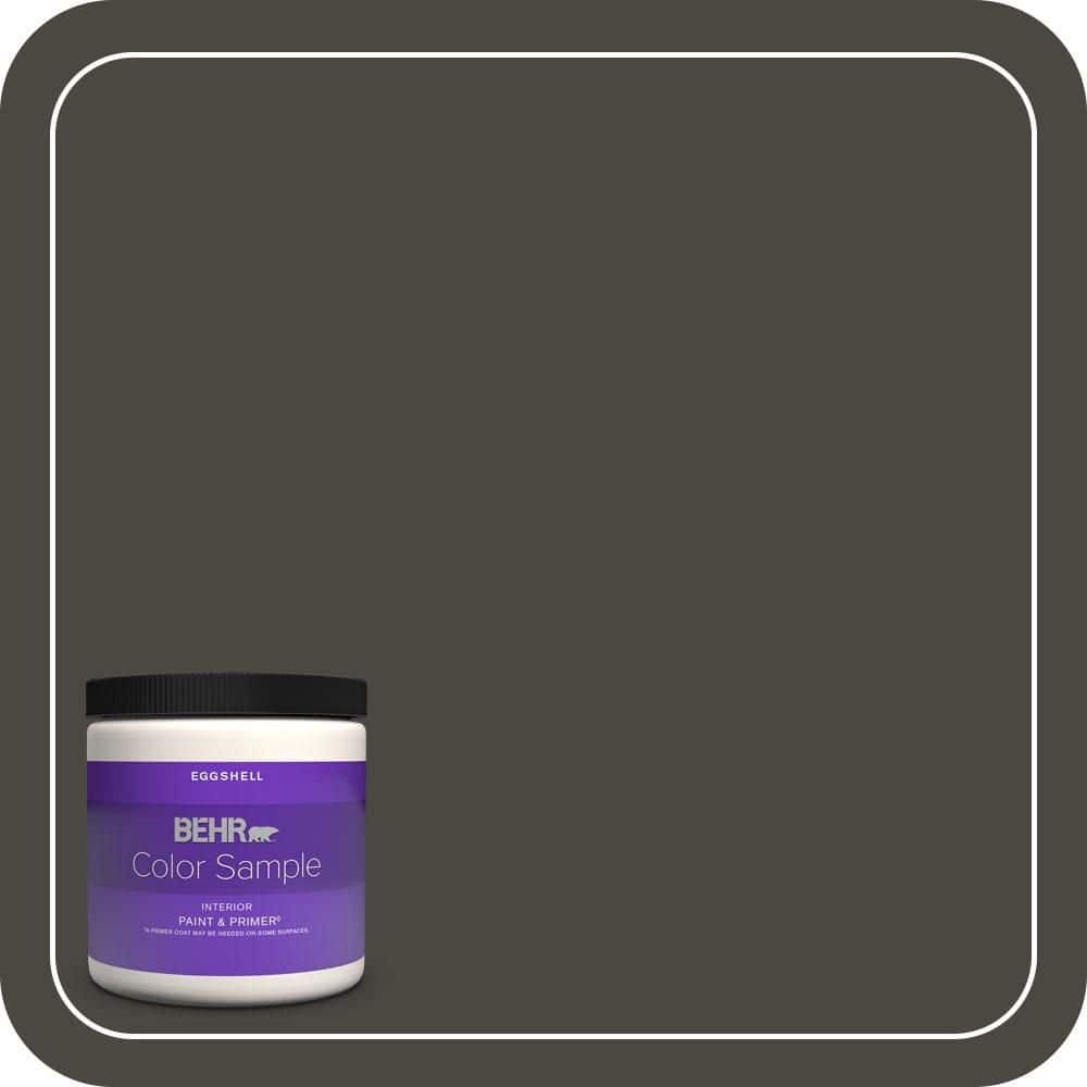 8 oz. #T18-11 Unplugged Eggshell Enamel Interior Paint & Primer Color Sample price history on PriceWatchPro