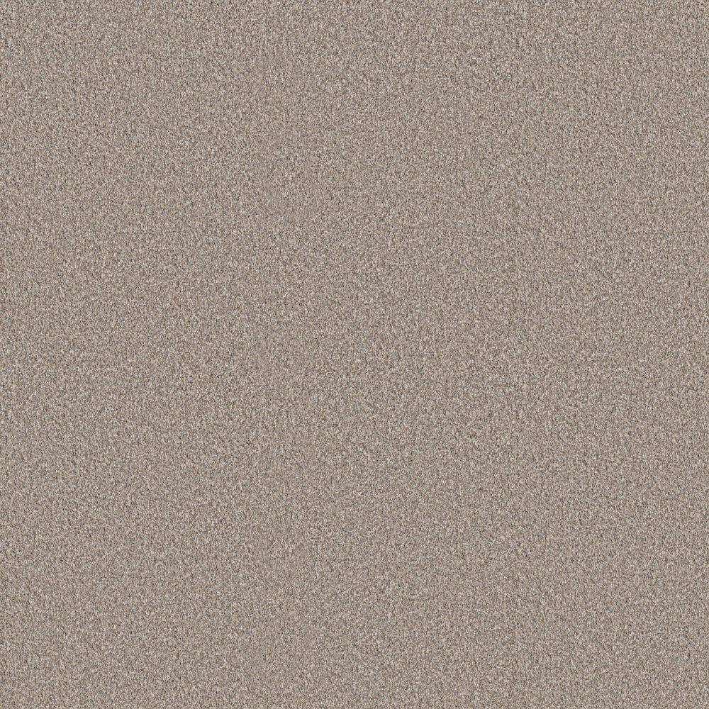 8 in. x 8 in. Texture Carpet Sample - Cuddle Cakes III - Color White Cap price history on PriceWatchPro