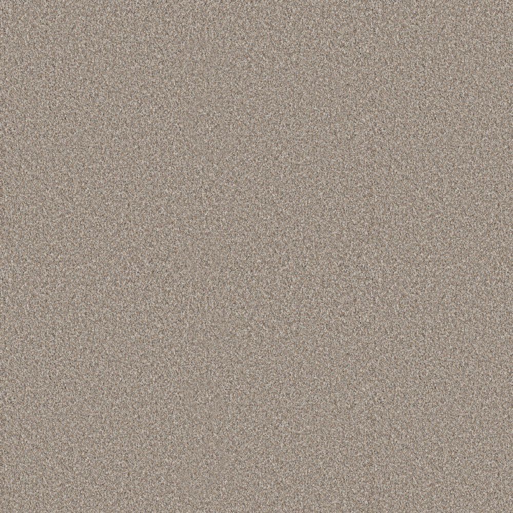 8 in. x 8 in. Texture Carpet Sample - Cuddle Cakes I - Color White Cap price history on PriceWatchPro