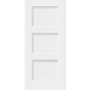 CALHOME 36 in. x 80 in. Reversible Frosted Exterior White with Designer ...