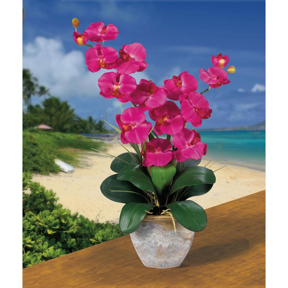 Multicolor 25" Double Stem Phalaenopsis Silk Orchid in Ceramic Vase
