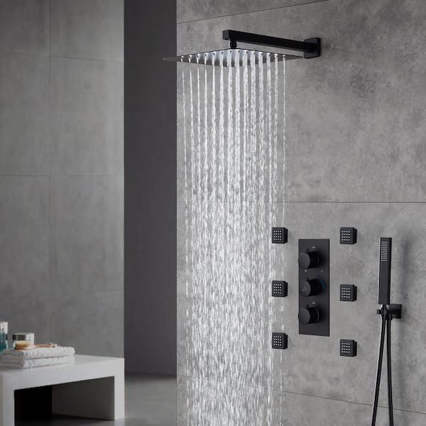 3-Spray Patterns with 2.5 GPM 12 in. Wall Mount Dual Shower Heads with Body Sprays in Matte Black