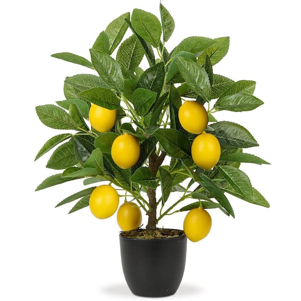 1.3 ft. Artificial Lemon Tree in Black Pot-Faux Potted Plant for Home & Office Decor