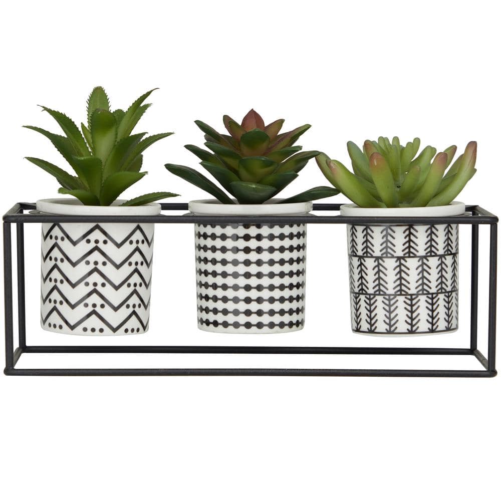 Novogratz 6 in. H Succulent Artificial Plant with Realistic Leaves and ...