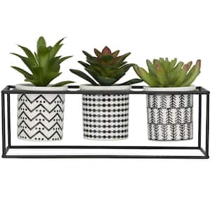6 in. H Succulent Artificial Plant with Realistic Leaves and Tribal Pots Inside Black Metal Stand