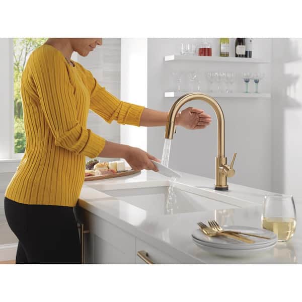 Delta Trinsic Gold VoiceIQ Touch2O w/ Touchless Technology Single