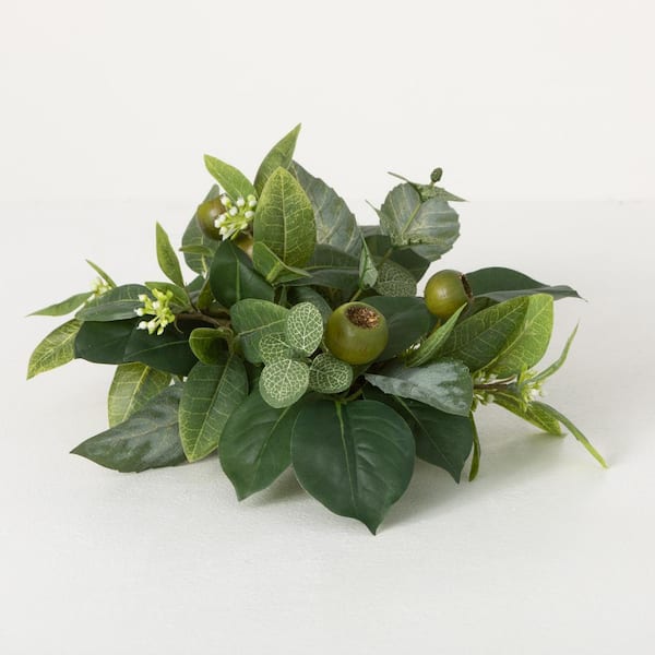 SULLIVANS 4" Artificial Green Israeli Ruscus Leaf Half Orb