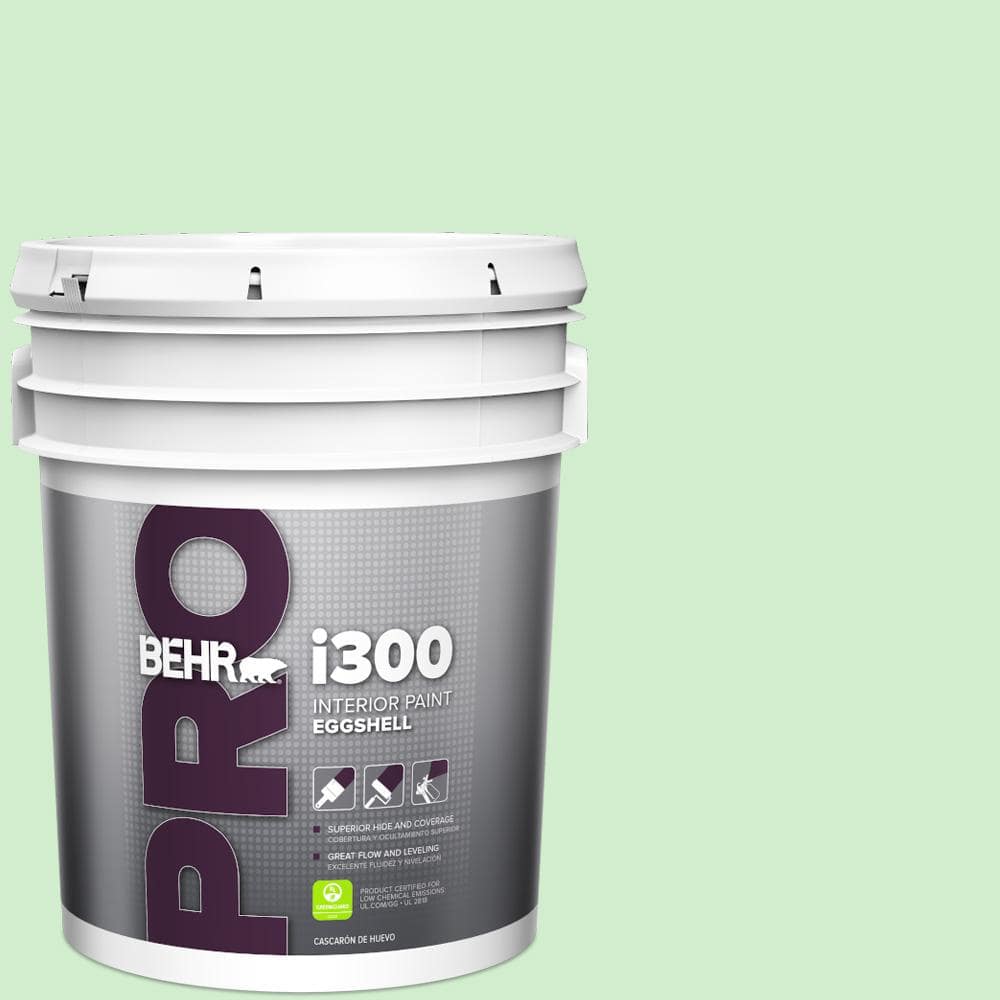5 gal. #450A-2 Kiwi Squeeze Eggshell Interior Paint price history on PriceWatchPro