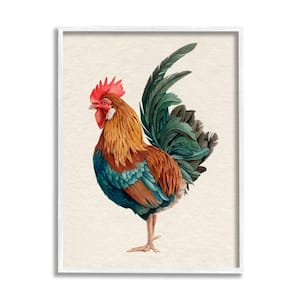 Morning Rooster Illustration Elegant Bird Feathers By Grace Popp Framed Print Animal Texturized Art 16 in. x 20 in.