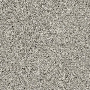 Evermore I - Perpetual Beige - 45 Oz. SD Polyester Texture Installed Carpet