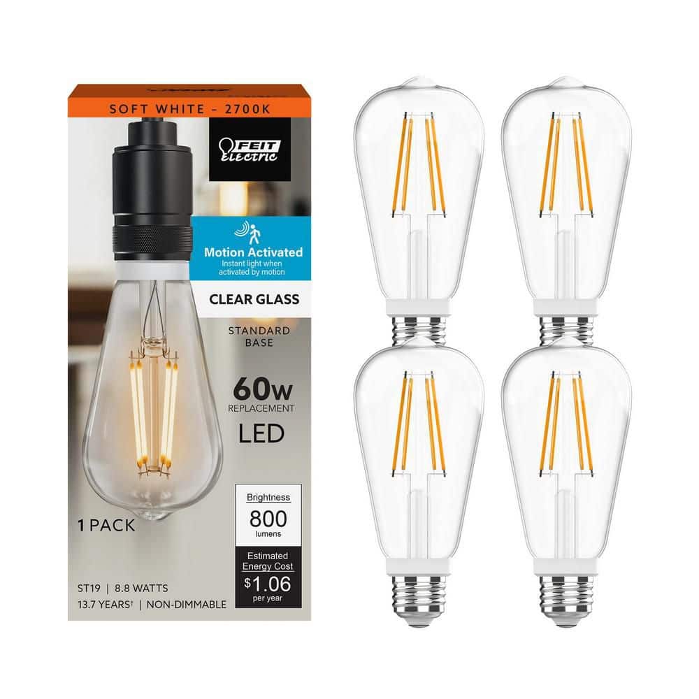 Feit Electric 60-Watt Equivalent ST19 Edison Vintage Filament