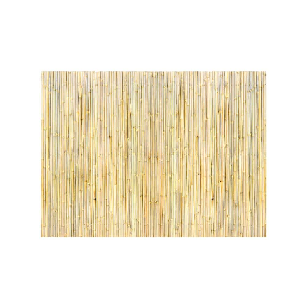 Natural Rolled Bamboo Fence, Eco-Friendly 4 ft. H x 6 ft. L x 0.75 in. D, Decorative Outdoor Bamboo Privacy Panel price history on PriceWatchPro
