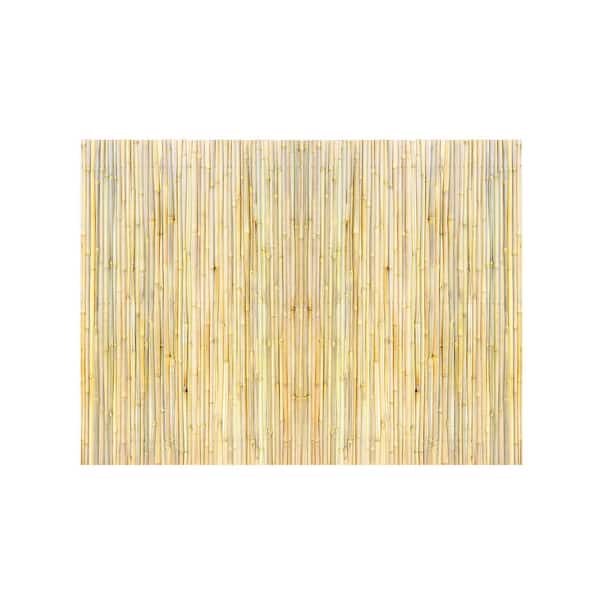 SVOPES Natural Rolled Bamboo Fence, Eco-Friendly 4 ft. H x 6 ft. L x 0.75 in. D, Decorative Outdoor Bamboo Privacy Panel