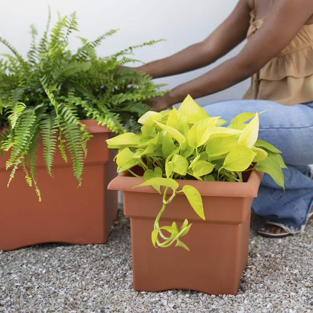 Veranda Square Terra Cotta Clay Planter for Indoor & Outdoor, 11 in.