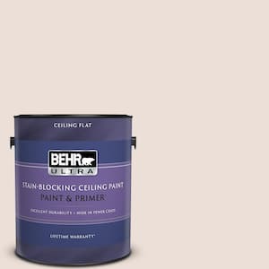 1 gal. #N160-1 Cameo Stone Ceiling Flat Interior Paint with Primer