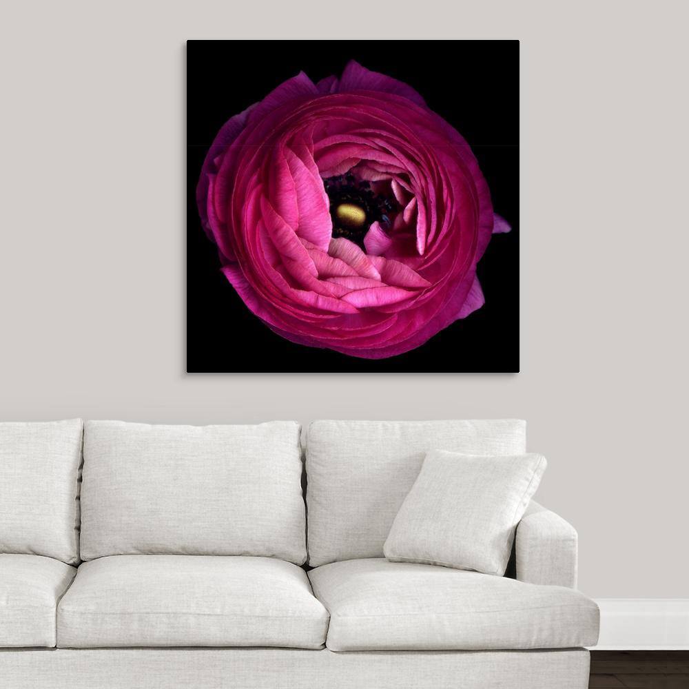 Pink Ranunculus by Magda Indigo Canvas Wall Art