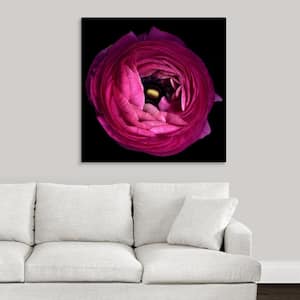 "Pink Ranunculus" by Magda Indigo Canvas Wall Art