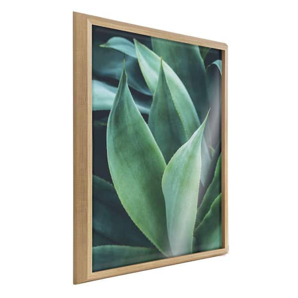 Kate and Laurel Blake Agave II by Emiko and Mark Franzen of F2Images Framed Art Print 24 in. x 32 in.