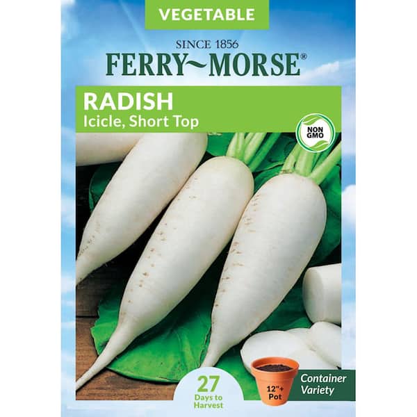 Ferry-Morse Radish Icicle Short Top Vegetable Seeds