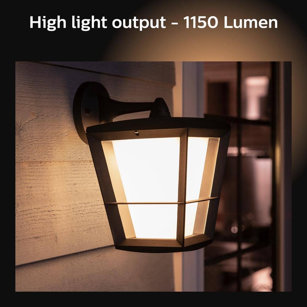 Black Metal and Glass Outdoor Smart Wall Lantern with LED